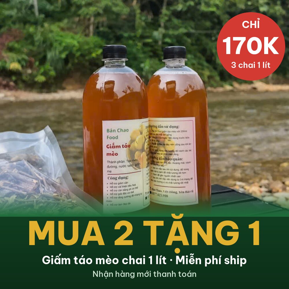 Combo mua 2 tặng 1 giấm táo mèo